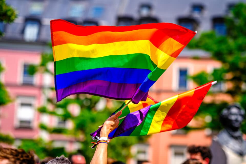 A person waving a rainbow flag above their head.